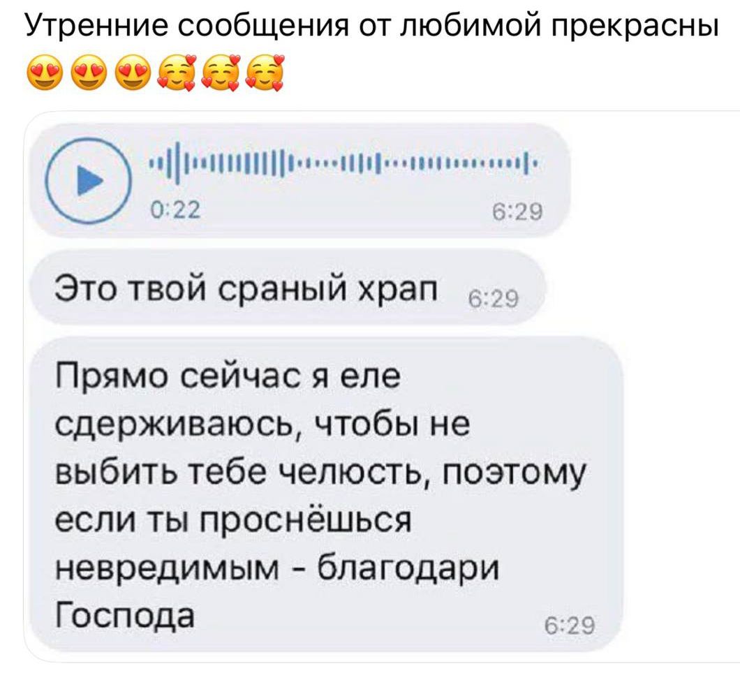Утренние сообщения от любимой прекрасны 😍🥰 0:22 6:29 Это твой сраный храп 6:29 Прямо сейчас я еле сдерживаюсь, чтобы не выбить тебе челюсть, поэтому если ты проснёшься невредимым - благодари Господа 6:29