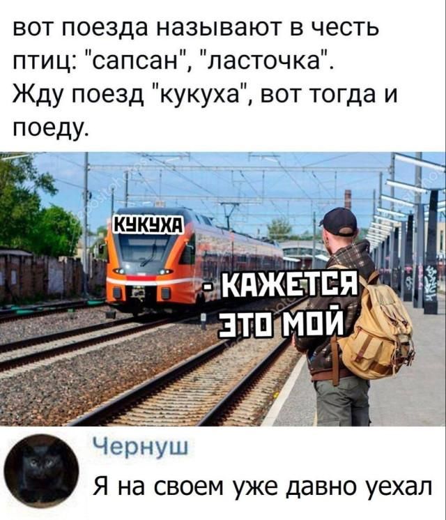 вот поезда называют в честь птиц: 