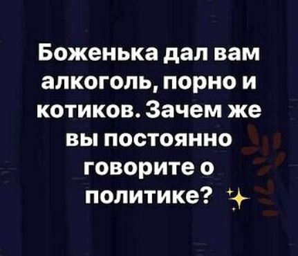 Боженька дал вам алкоголь, порно и котиков. Зачем же вы постоянно говорите о политике?