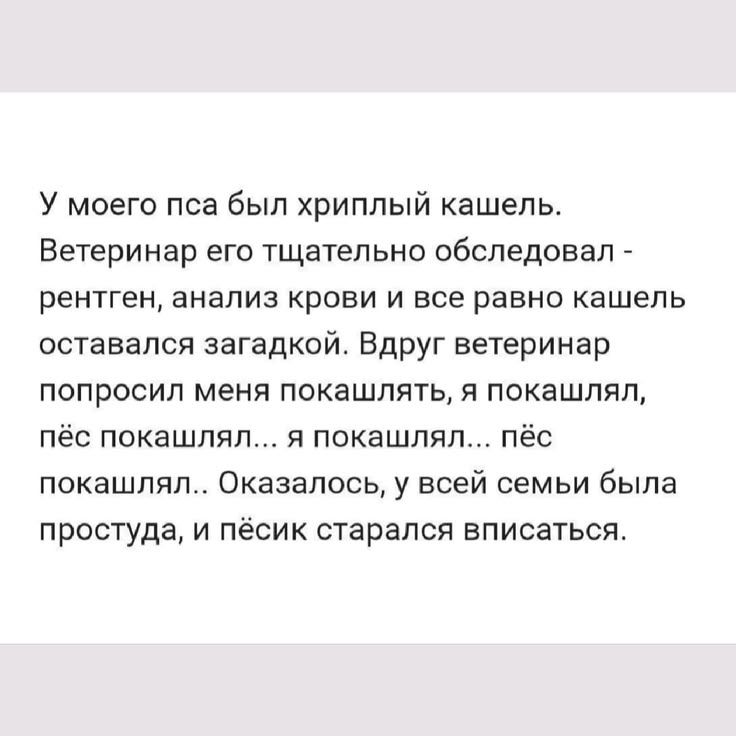 У моего пса был хриплый кашель. Ветеринар его тщательно обследовал - рентген, анализ крови и все равно кашель оставался загадкой. Вдруг ветеринар попросил меня покашлять, я покашлял, пёс покашлял... я покашлял.. пёс покашлял.. Оказалось, у всей семьи была простуда, и пёсик старался вписаться.