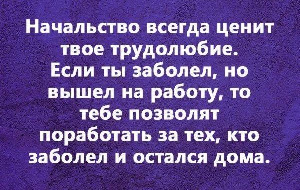 Начальство всегда ценит твое трудолюбие. Если ты заболел, но вышел на работу, то тебе позволят поработать за тех, кто заболел и остался дома.