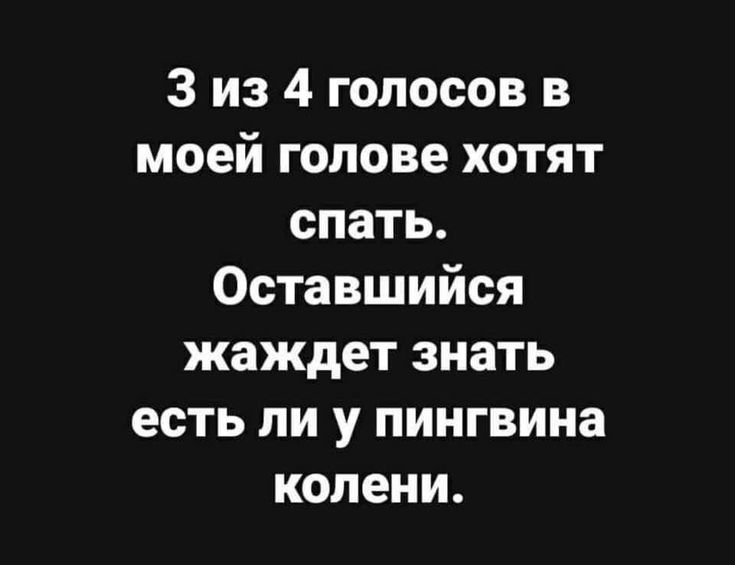 3 из 4 голосов в моей голове хотят спать. Оставшийся жаждет знать есть ли у пингвина колени.