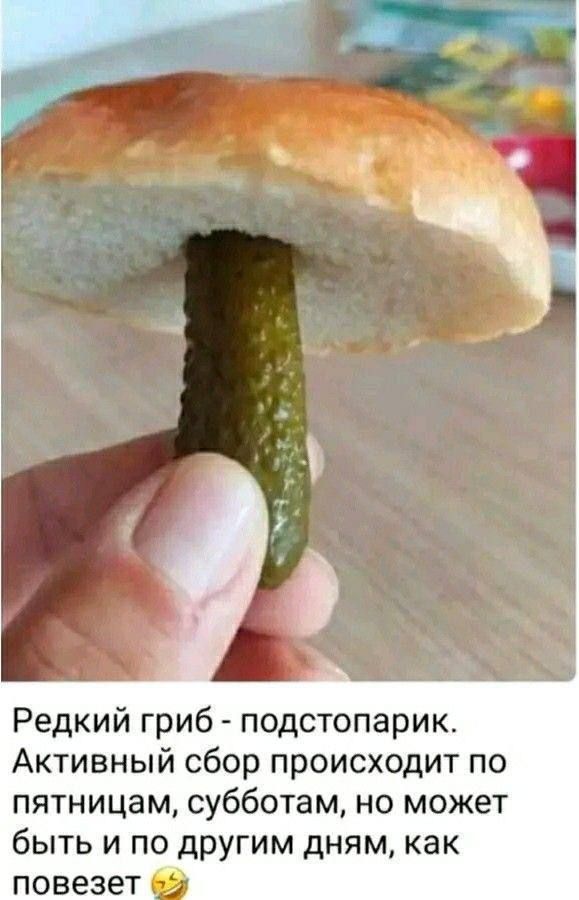 Редкий гриб - подстопарик. Активный сбор происходит по пятницам, субботам, но может быть и по другим дням, как повезет
