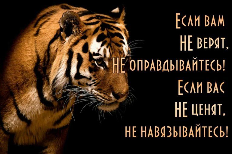 ЕСЛИ ВАМ НЕ ВЕРЯТ, НЕ ОПРАВДЫВАЙТЕСЬ! ЕСЛИ ВАС НЕ ЦЕНЯТ, НЕ НАВЯЗЫВАЙТЕСЬ!