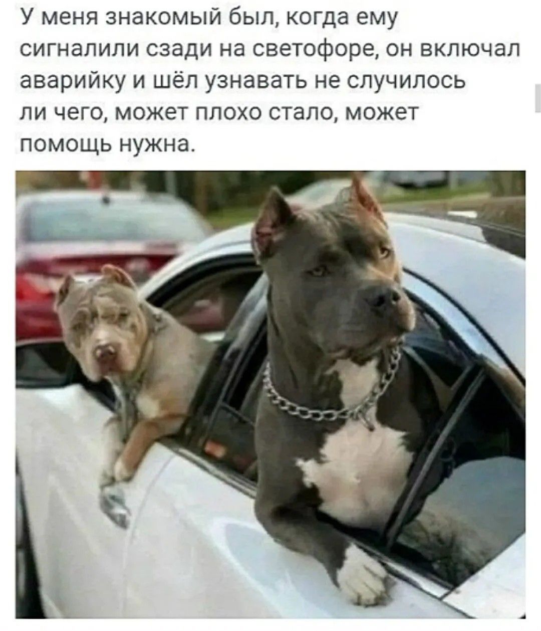 У меня знакомый был, когда ему сигналили сзади на светофоре, он включал аварийку и шёл узнавать не случилось ли чего, может плохо стало, может помощь нужна.