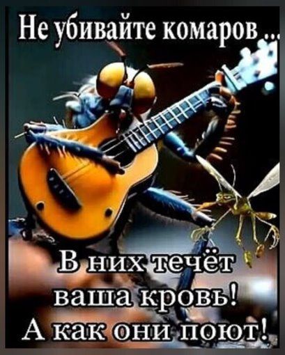 Не убивайте комаров... В них течёт ваша кровь! А как они поют!