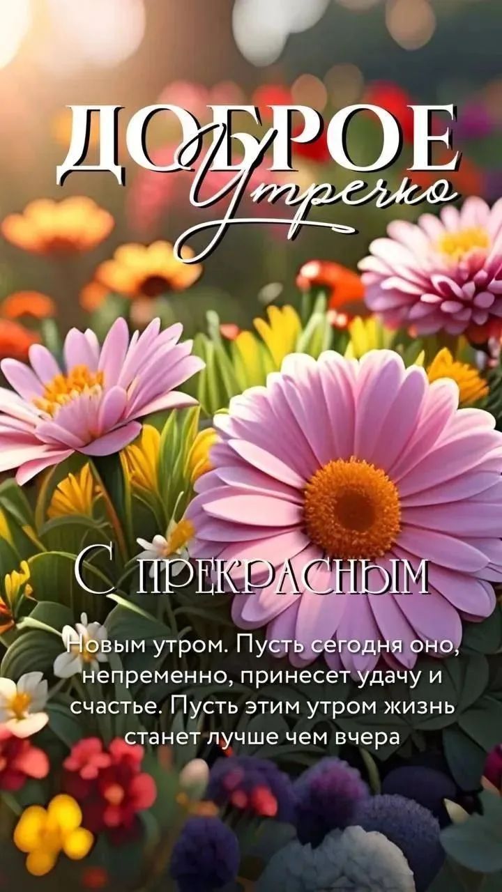 Доброе утро. С прекрасным новым утром. Пусть сегодня оно непременно принесет удачу и счастье. Пусть этим утром жизнь станет лучше чем вчера