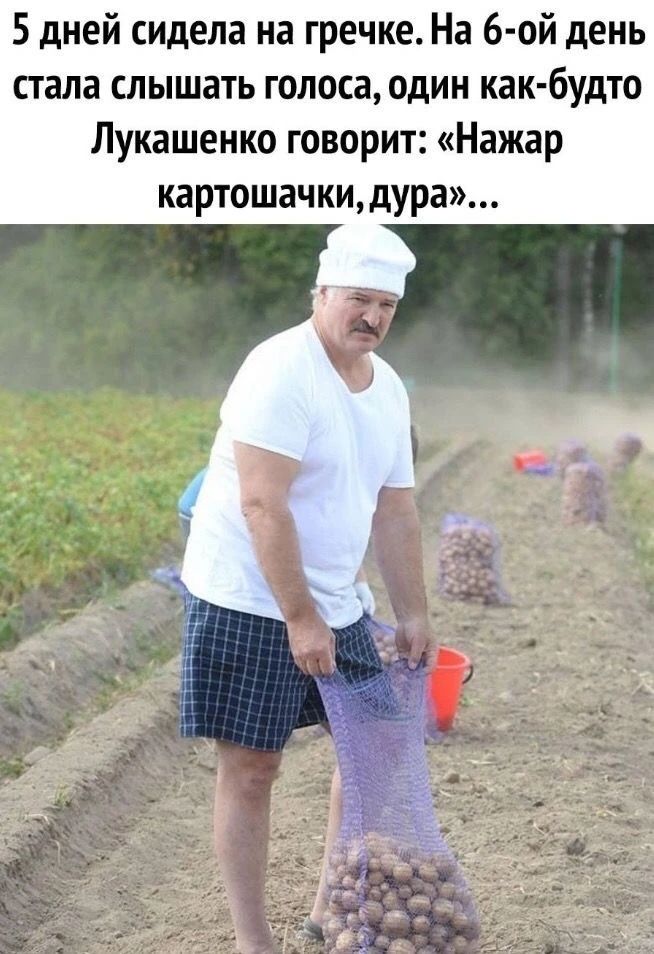 5 дней сидела на гречке. На 6-ой день стала слышать голоса, один как-будто Лукашенко говорит: «Нажар картошачки, дура»...