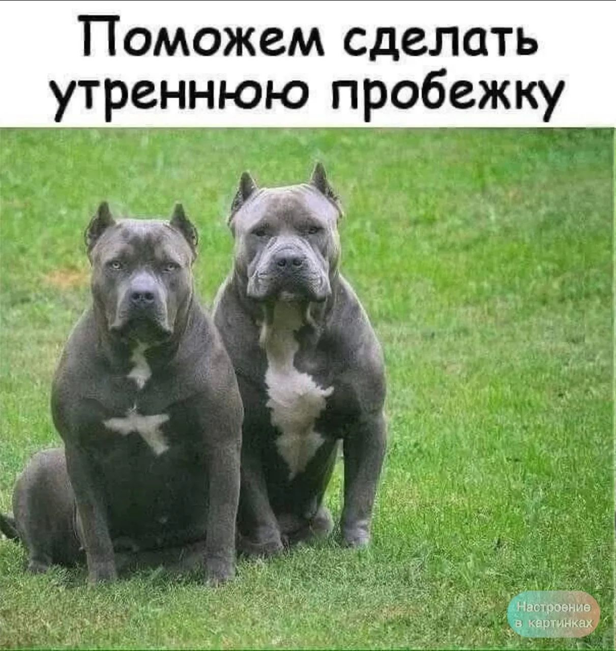 Поможем сделать утреннюю пробежку