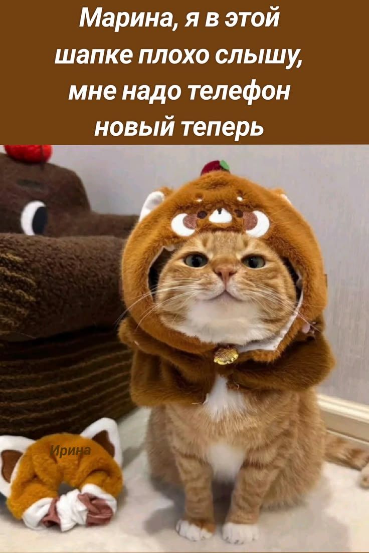Марина, я в этой шапке плохо слышу, мне надо телефон новый теперь
