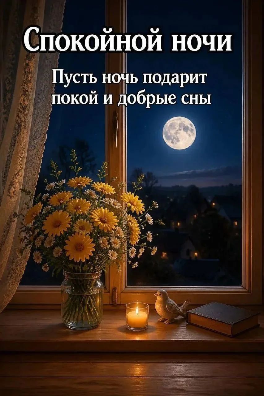 Спокойной ночи. Пусть ночь подарит покой и добрые сны