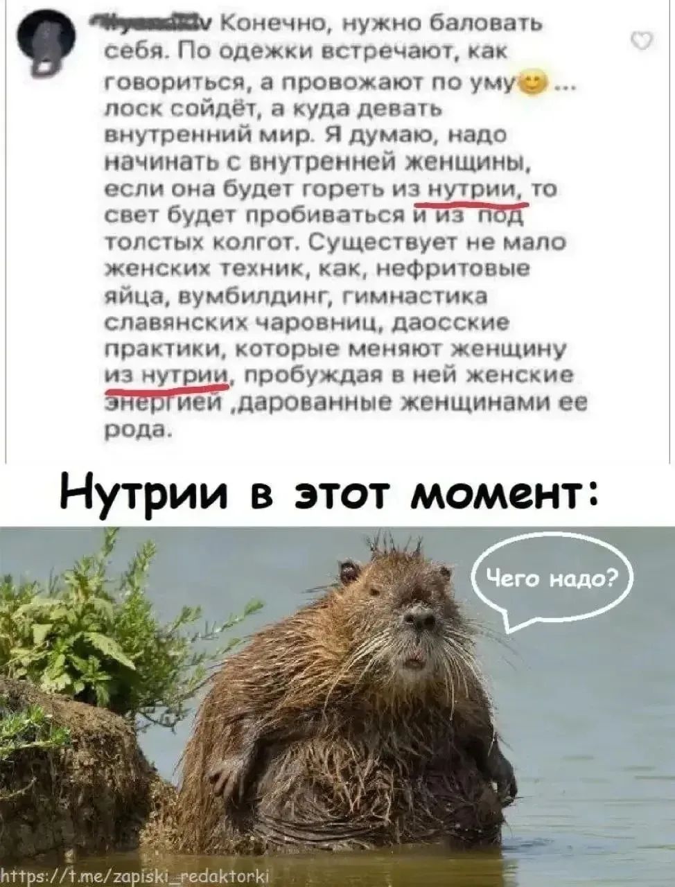 Конечно, нужно баловать себя. По одежки встречают, как говориться, а провожают по уму ... лоск сойдёт, а куда девать внутренний мир. Я думаю, надо начинать с внутренней женщины, если она будет гореть из нутрии, то свет будет пробиваться и из под толстых колгот. Существует не мало женских техник, как, нефритовые яйца, вумбилдинг, гимнастика