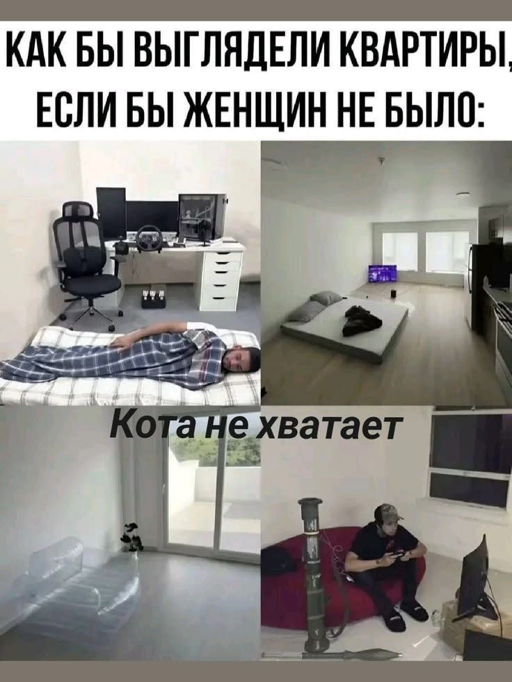КАК БЫ ВЫГЛЯДЕЛИ КВАРТИРЫ, ЕСЛИ БЫ ЖЕНЩИН НЕ БЫЛО: Кота не хватает