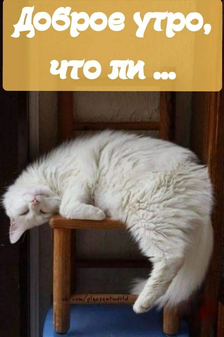 Доброе утро, что ли ...
