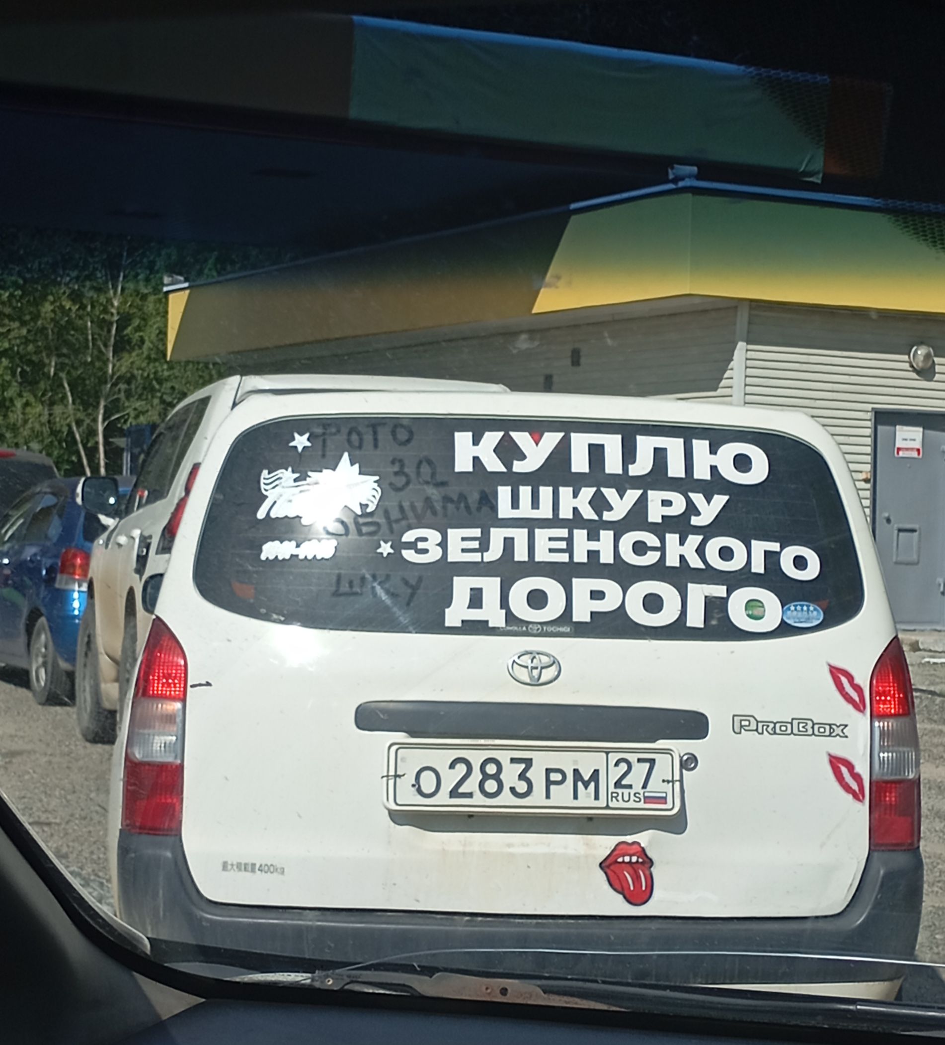 КУПЛЮ ШКУРУ ЗЕЛЕНСКОГО ДОРОГО