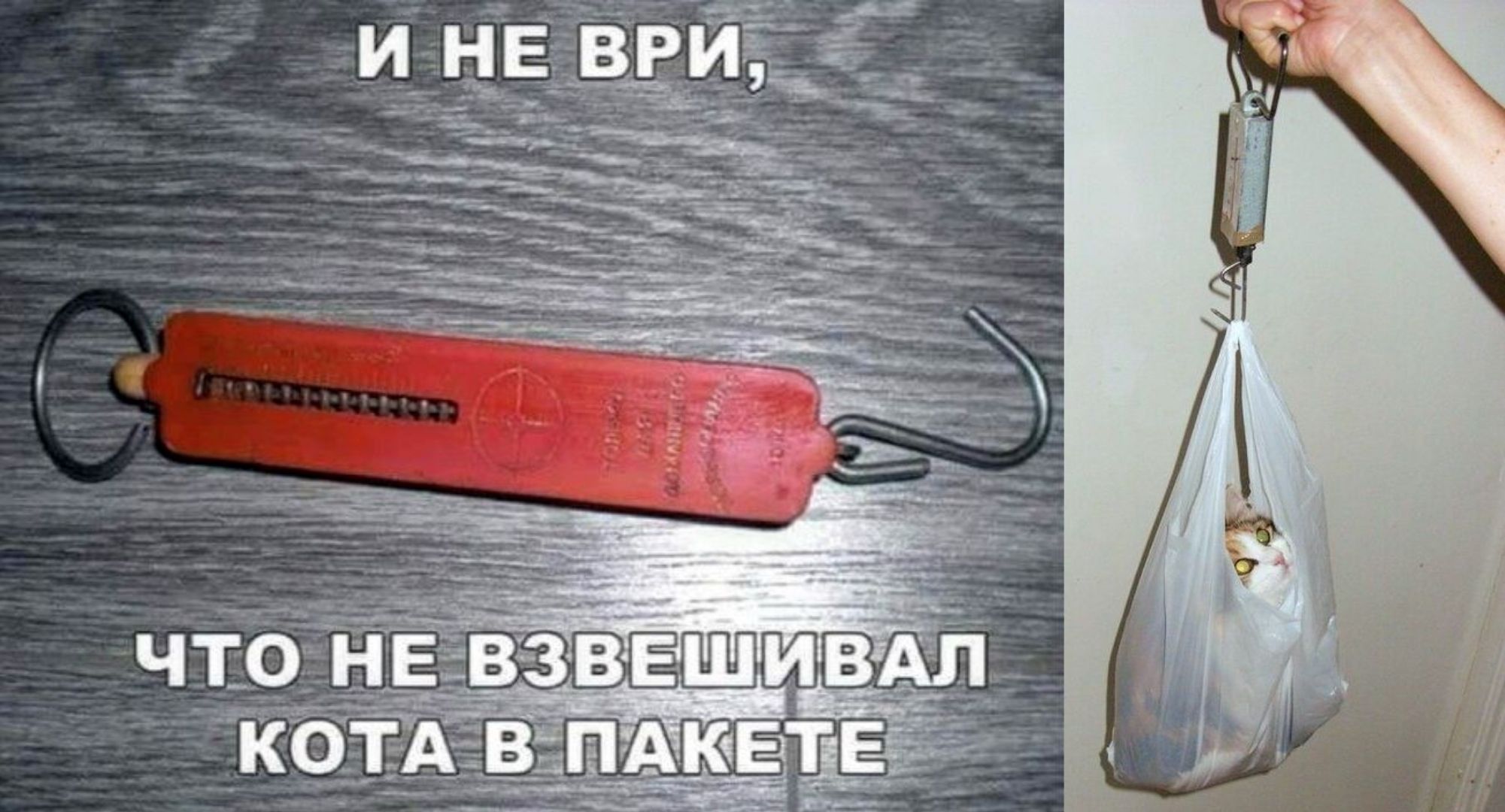 И не ври, что не взвешивал кота в пакете