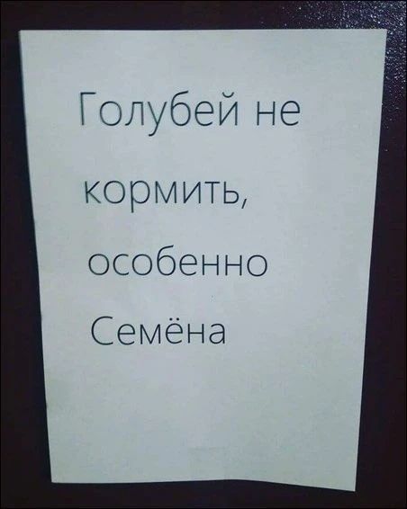 Голубей не кормить, особенно Семёна