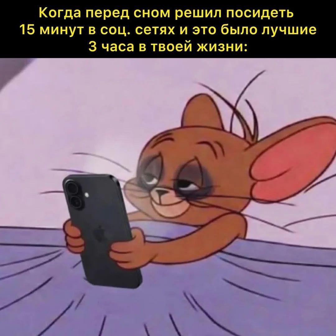 Когда перед сном решил посидеть 15 минут в соц. сетях и это было лучшие 3 часа в твоей жизни: