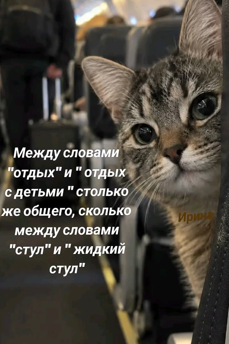 Между словами 