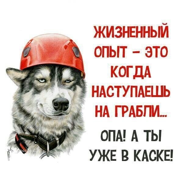 Жизненный опыт — это когда наступаешь на грабли... Опа! А ты уже в каске!
