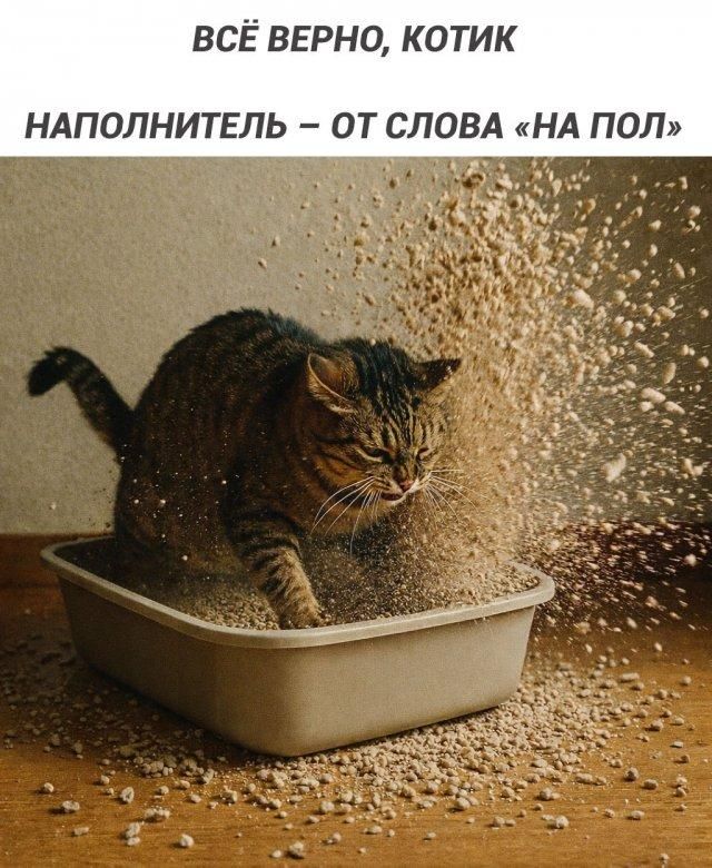 ВСЁ ВЕРНО, КОТИК НАПОЛНИТЕЛЬ – ОТ СЛОВА «НА ПОЛ»
