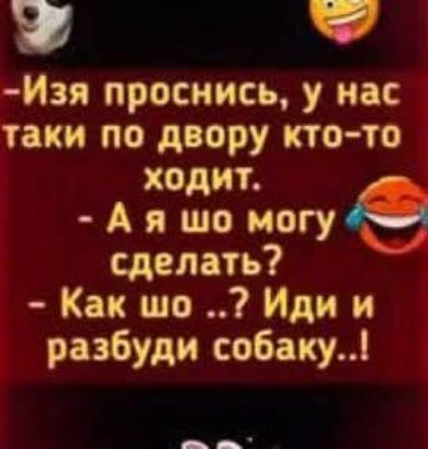 Изя проснись, у нас таки по двору кто-то ходит. А я шо могу сделать? Как шо ..? Иди и разбуди собаку..!