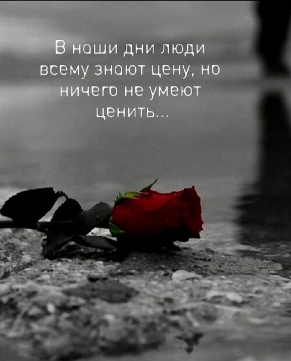 В наши дни люди всему знают цену, но ничего не умеют ценить...