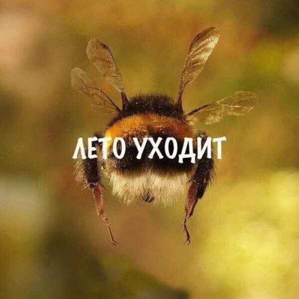 ЛЕТО УХОДИТ