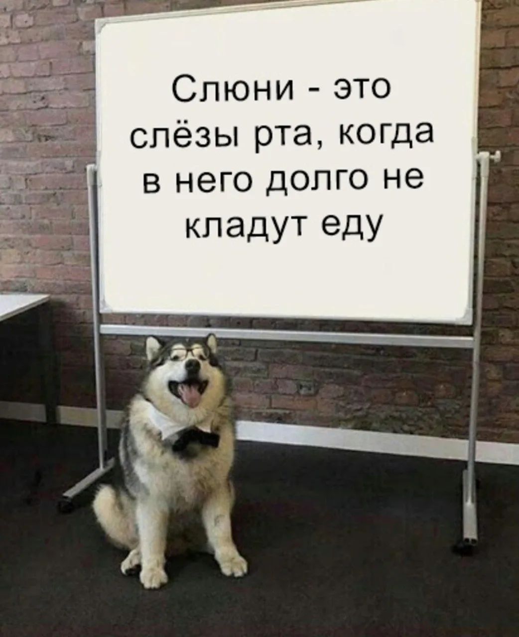 Слюни - это слёзы рта, когда в него долго не кладут еду