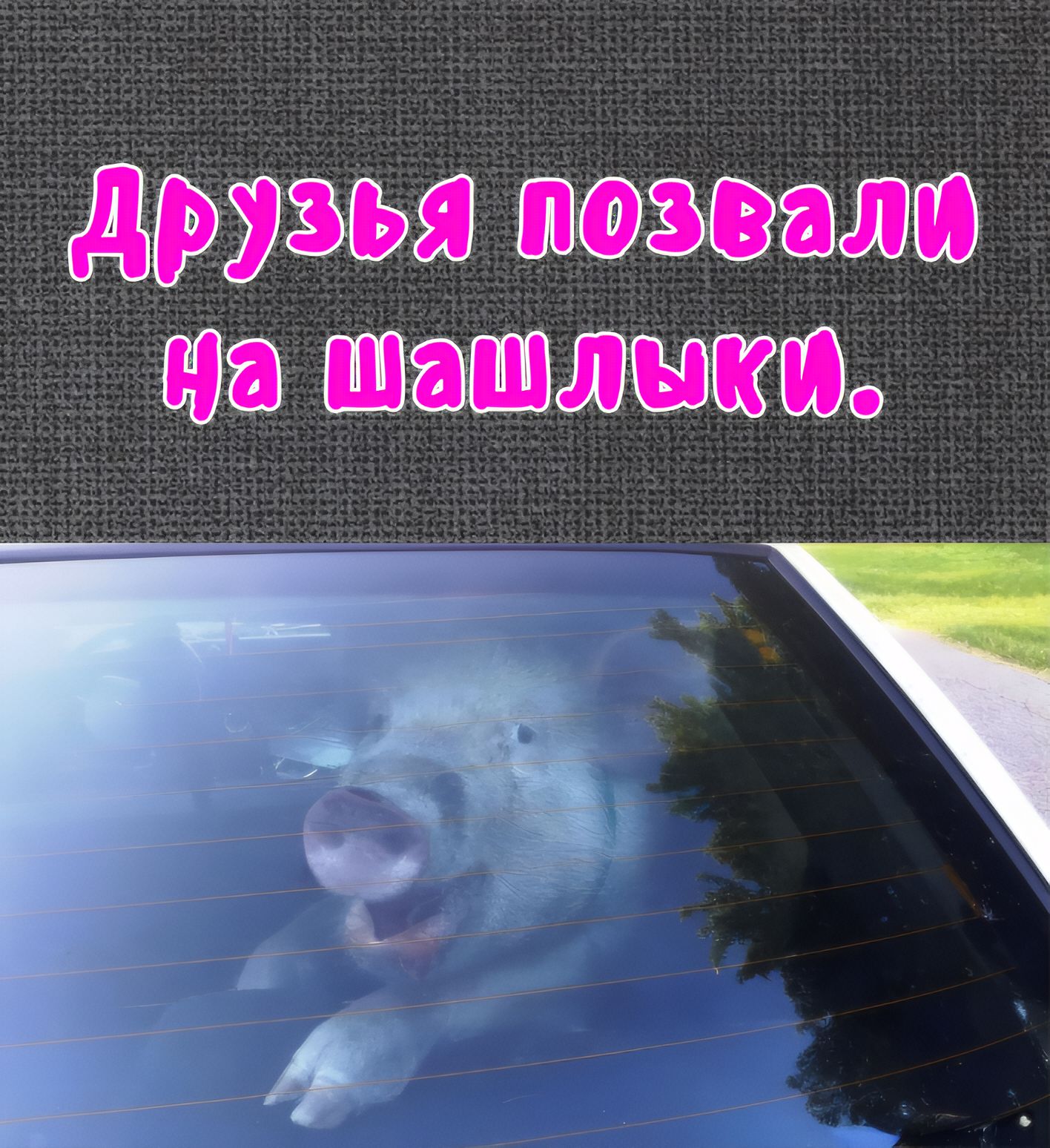 Друзья позвали на шашлыки.