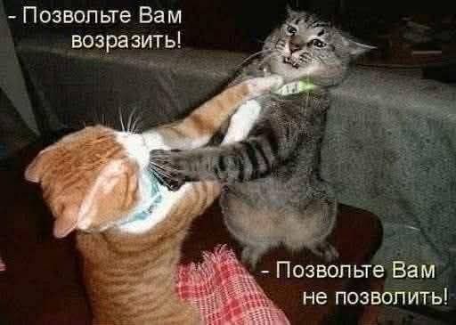 – Позвольте Вам возразить! – Позвольте Вам не позволить!