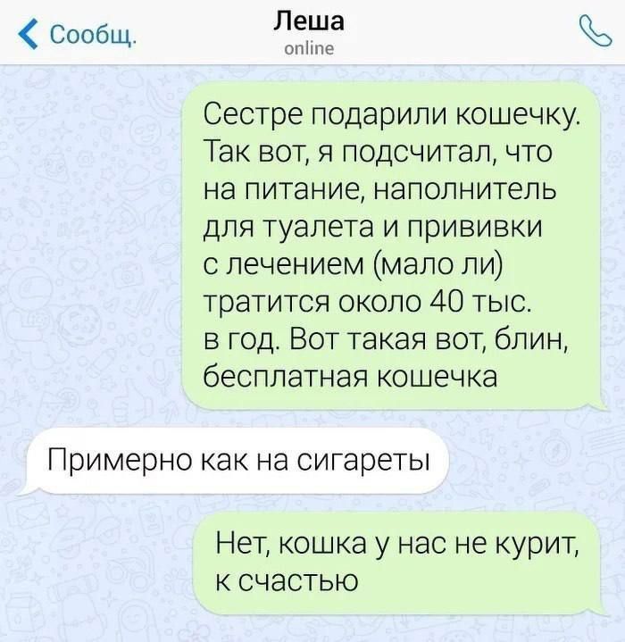 Сестре подарили кошечку. Так вот, я подсчитал, что на питание, наполнитель для туалета и прививки с лечением (мало ли) тратится около 40 тыс. в год. Вот такая вот, блин, бесплатная кошечка. Примерно как на сигареты. Нет, кошка у нас не курит, к счастью.