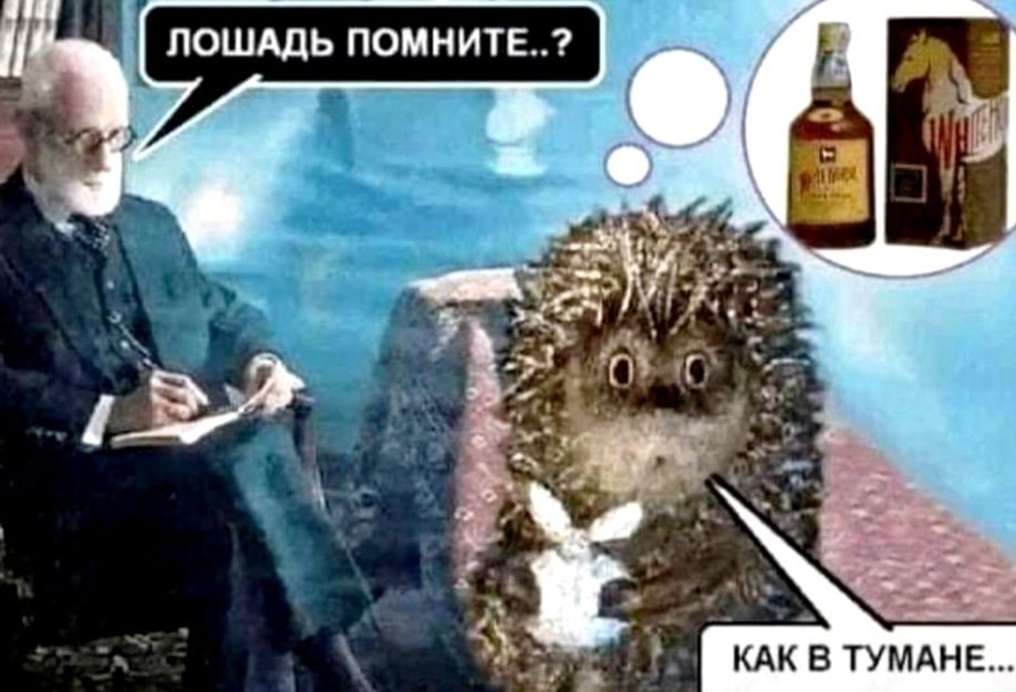 ЛОШАДЬ ПОМНИТЕ..? КАК В ТУМАНЕ...