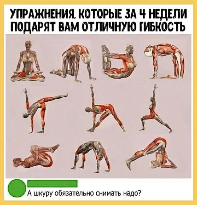 УПРАЖНЕНИЯ, КОТОРЫЕ ЗА 4 НЕДЕЛИ ПОДАРЯТ ВАМ ОТЛИЧНУЮ ГИБКОСТЬ. А шкуру обязательно снимать надо?