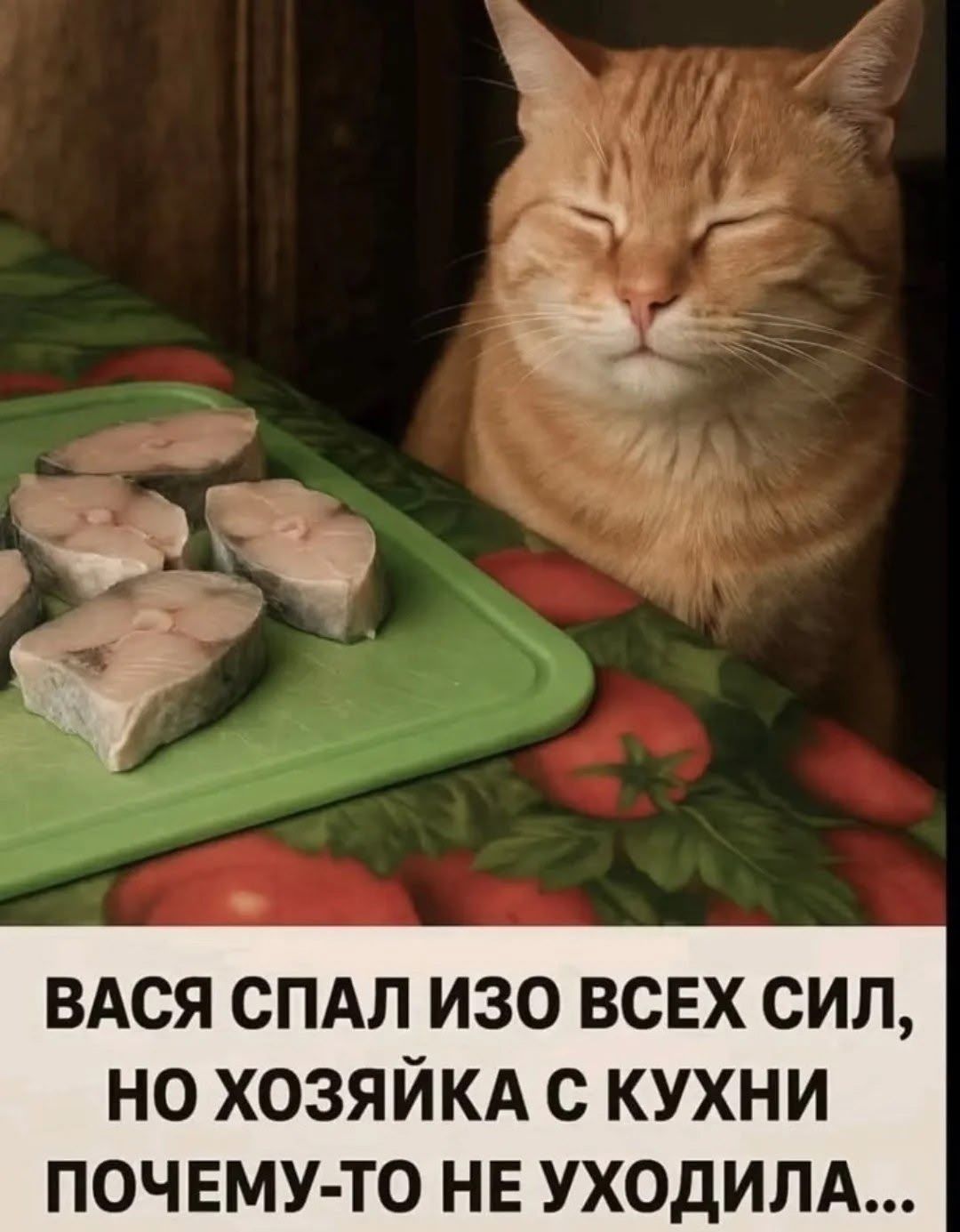 ВАСЯ СПАЛ ИЗО ВСЕХ СИЛ, НО ХОЗЯЙКА С КУХНИ ПОЧЕМУ-ТО НЕ УХОДИЛА...