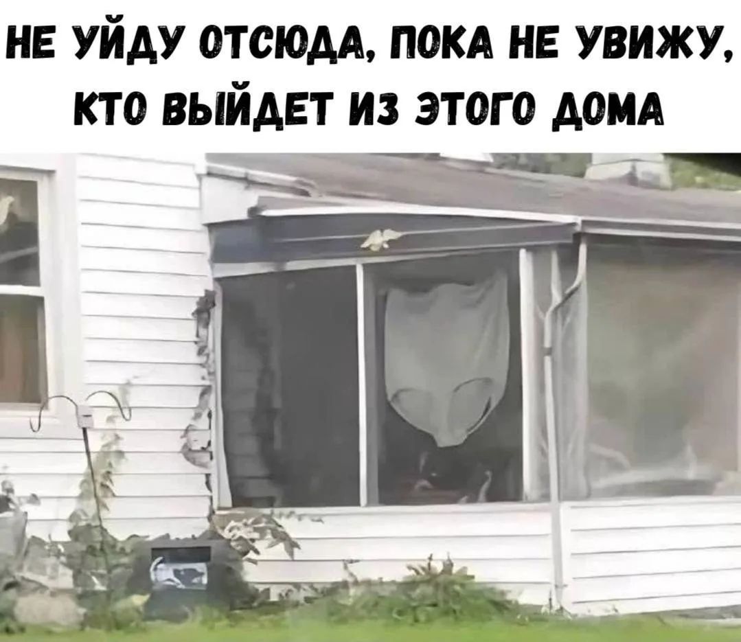 НЕ УЙДУ ОТСЮДА, ПОКА НЕ УВИЖУ, КТО ВЫЙДЕТ ИЗ ЭТОГО ДОМА