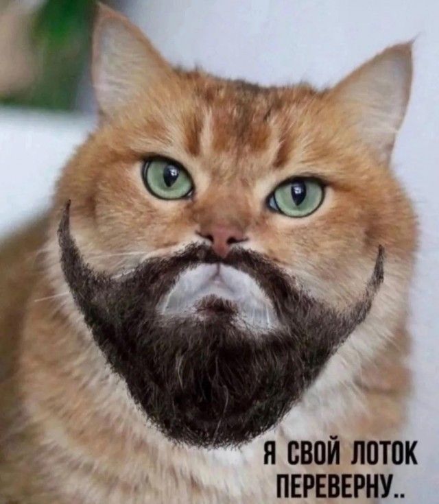 Я СВОЙ ЛОТОК ПЕРЕВЕРНУ..