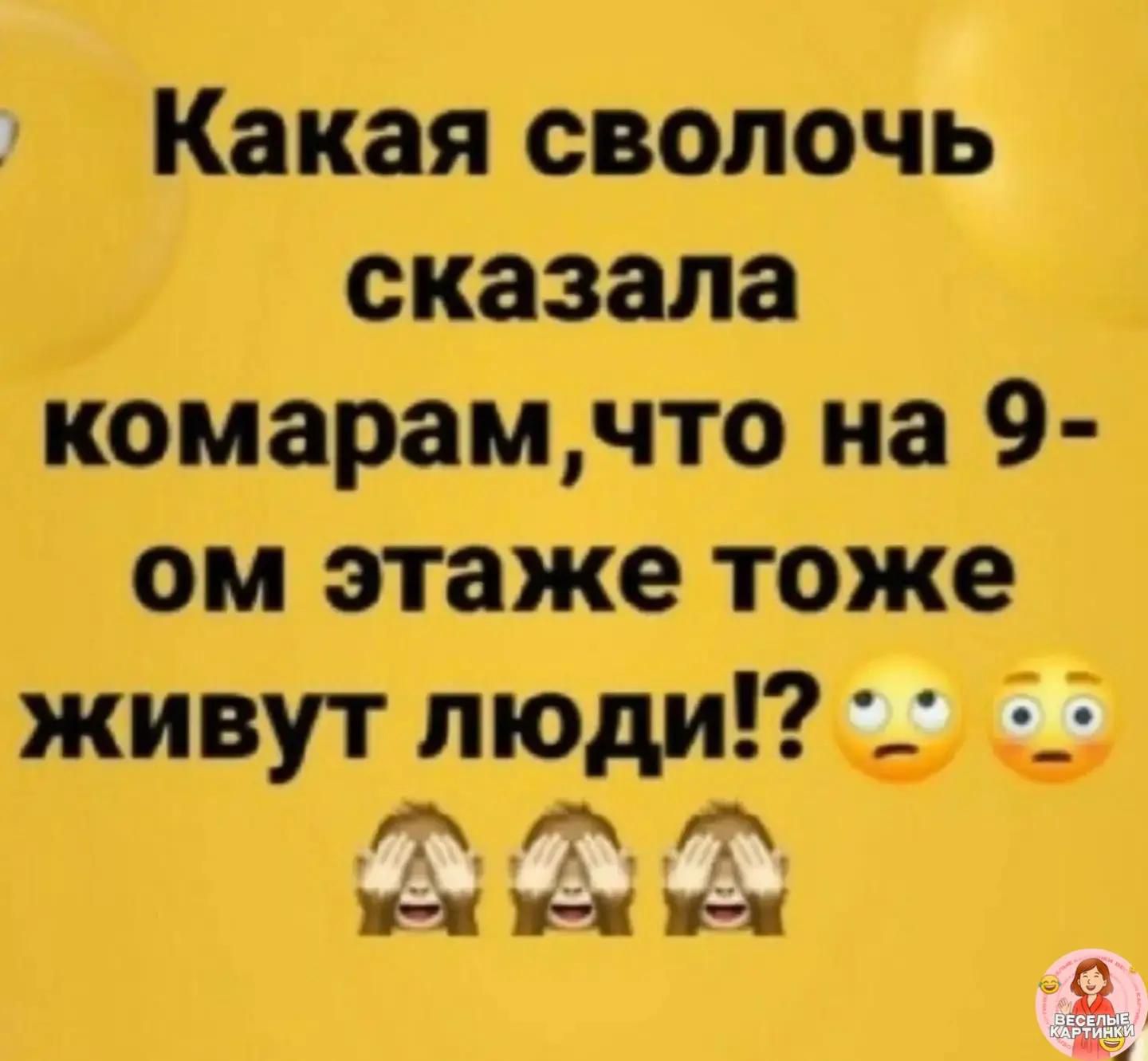Какая сволочь сказала комарам, что на 9-ом этаже тоже живут люди!?