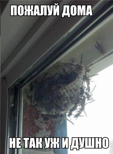 ПОЖАЛУЙ ДОМА НЕ ТАК УЖ И ДУШНО