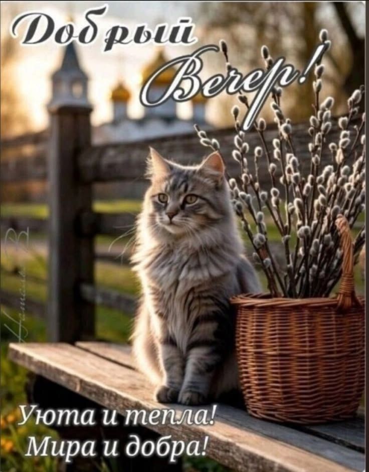 Добрый Вечер! Уюта и тепла! Мира и добра!