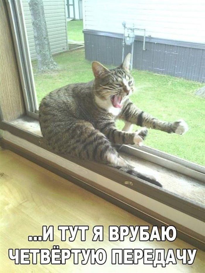 ...И ТУТ Я ВРУБАЮ ЧЕТВЁРТУЮ ПЕРЕДАЧУ