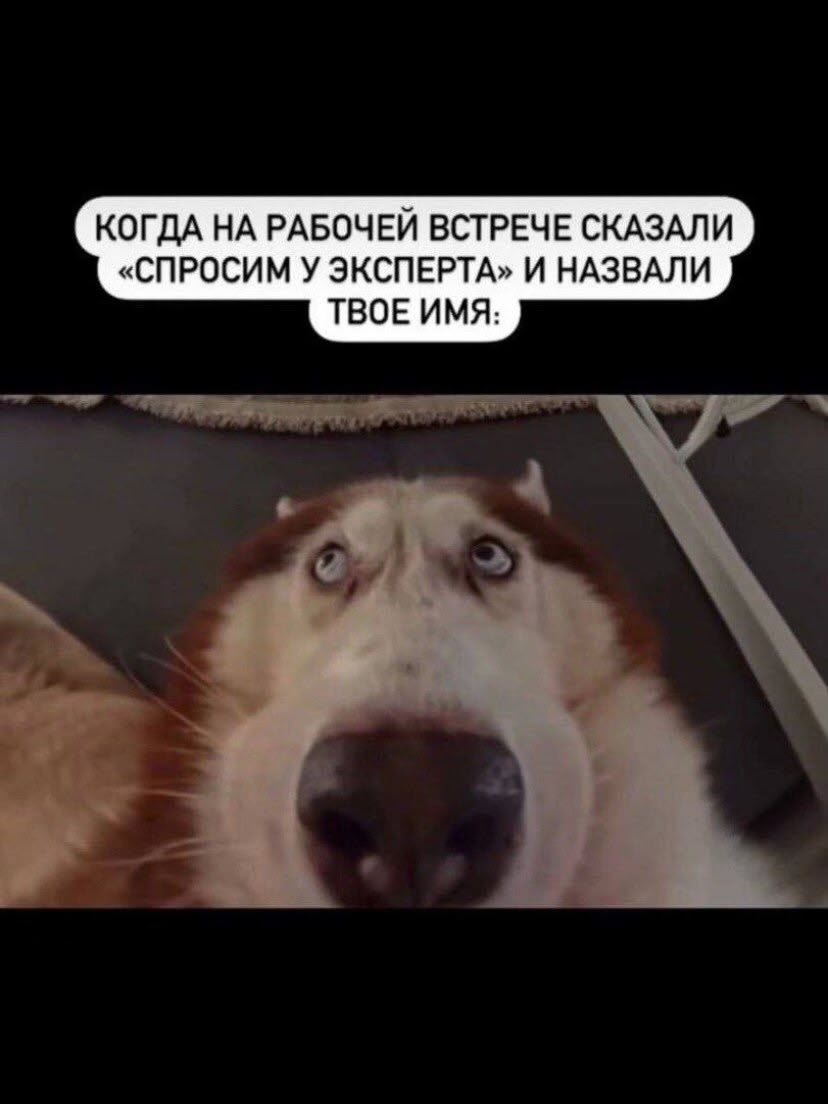 КОГДА НА РАБОЧЕЙ ВСТРЕЧЕ СКАЗАЛИ «СПРОСИМ У ЭКСПЕРТА» И НАЗВАЛИ ТВОЕ ИМЯ: