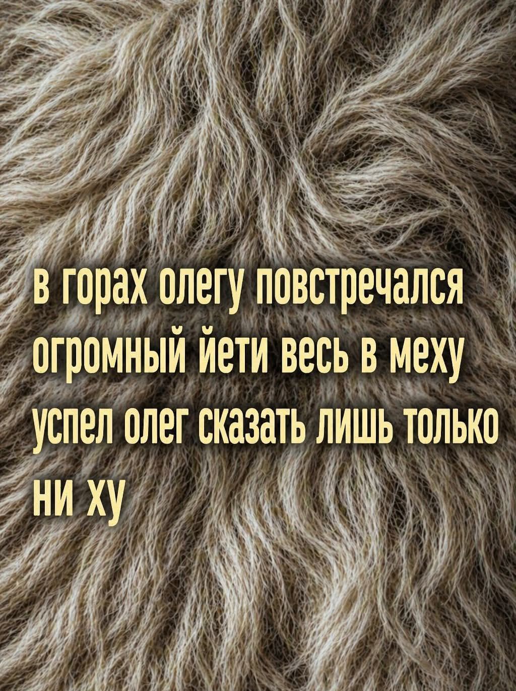 в горах олегу повстречался огромный йети весь в меху успел олег сказать лишь только ни ху