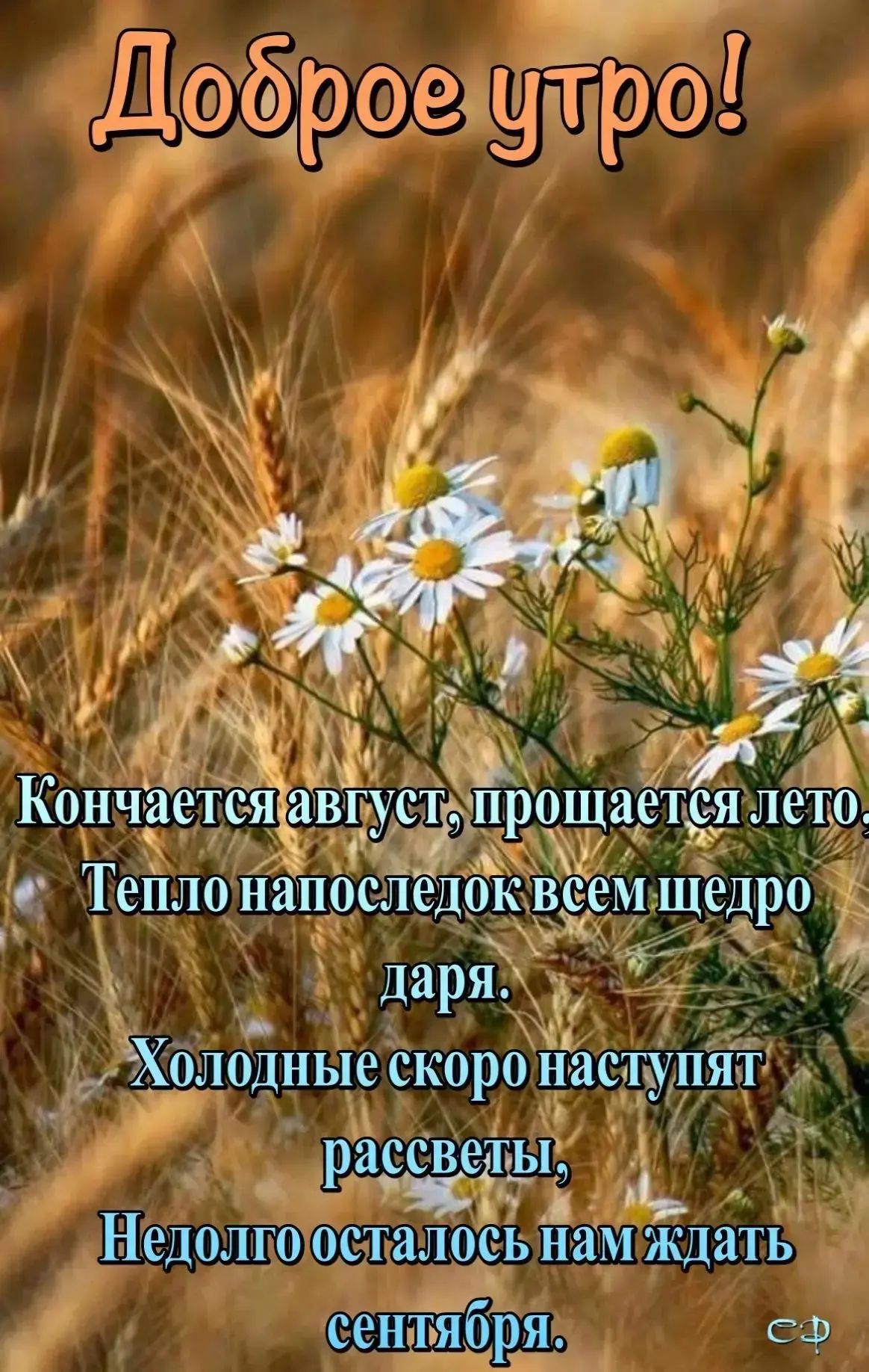 Доброе утро! Кончается август, прощается лето. Тепло напоследок всем щедро даря. Холодные скоро наступят рассветы, Недолго осталось нам ждать сентября.