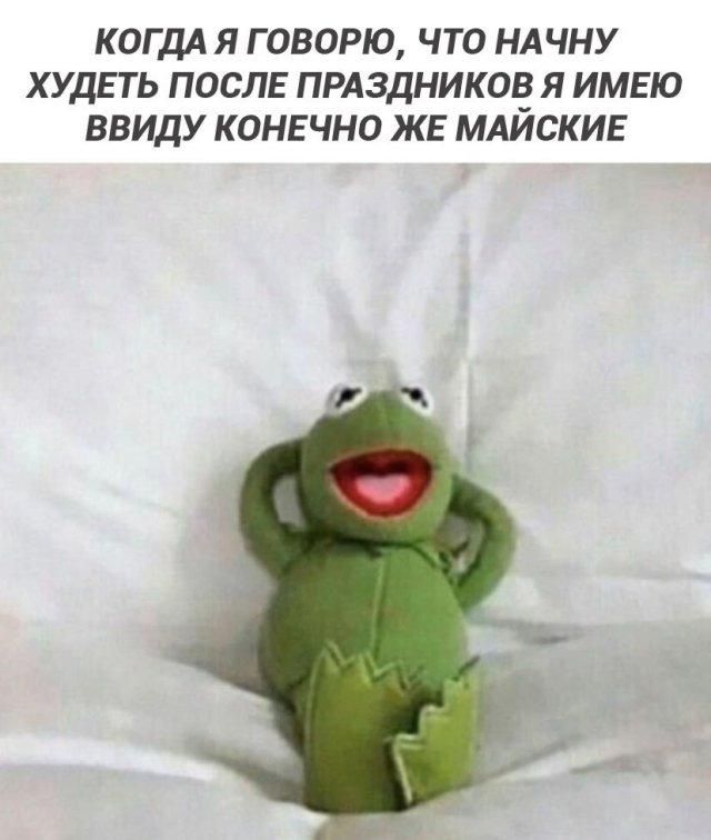 КОГДА Я ГОВОРЮ, ЧТО НАЧНУ ХУДЕТЬ ПОСЛЕ ПРАЗДНИКОВ Я ИМЕЮ ВВИДУ КОНЕЧНО ЖЕ МАЙСКИЕ