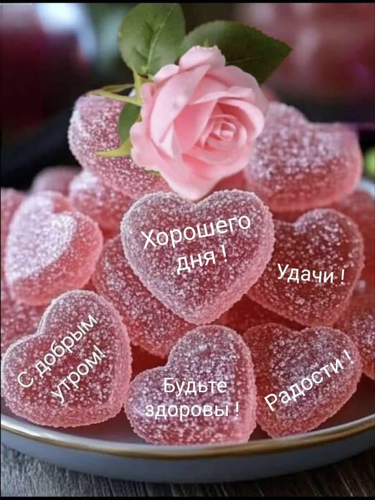 Хорошего дня ! Удачи ! С добрым утром! Будьте здоровы ! Радости !
