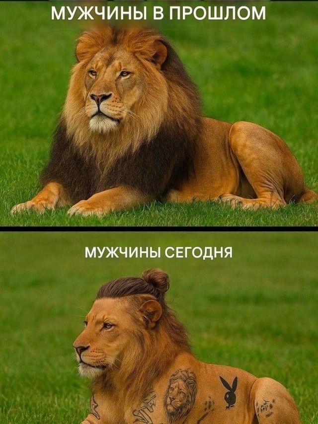 МУЖЧИНЫ В ПРОШЛОМ МУЖЧИНЫ СЕГОДНЯ