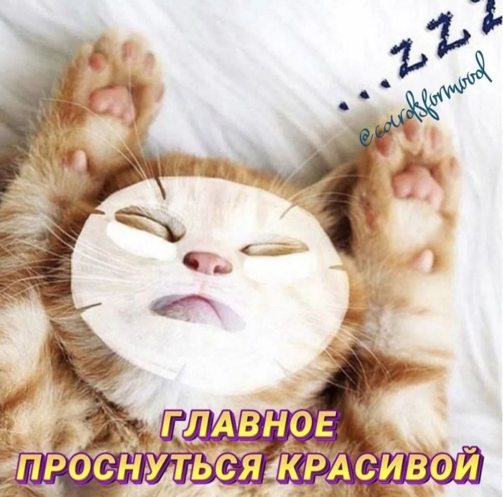 ГЛАВНОЕ ПРОСНУТЬСЯ КРАСИВОЙ