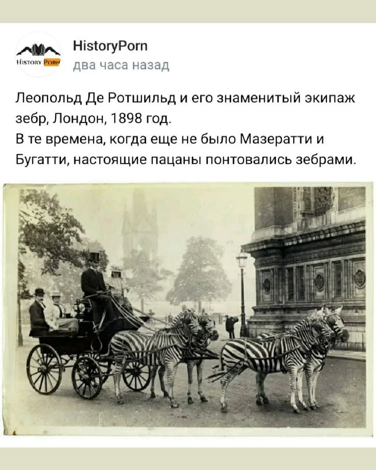 HistoryPorn два часа назад Леопольд Де Ротшильд и его знаменитый экипаж зебр, Лондон, 1898 год. В те времена, когда еще не было Мазератти и Бугатти, настоящие пацаны понтовались зебрами.