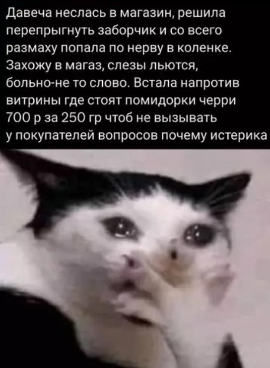 Давеча неслась в магазин, решила перепрыгнуть заборчик и со всего размаху попала по нерву в коленке. Захожу в магаз, слезы льются, больно-не то слово. Встала напротив витрины где стоят помидорки черри 700 р за 250 гр чтоб не вызывать у покупателей вопросов почему истерика